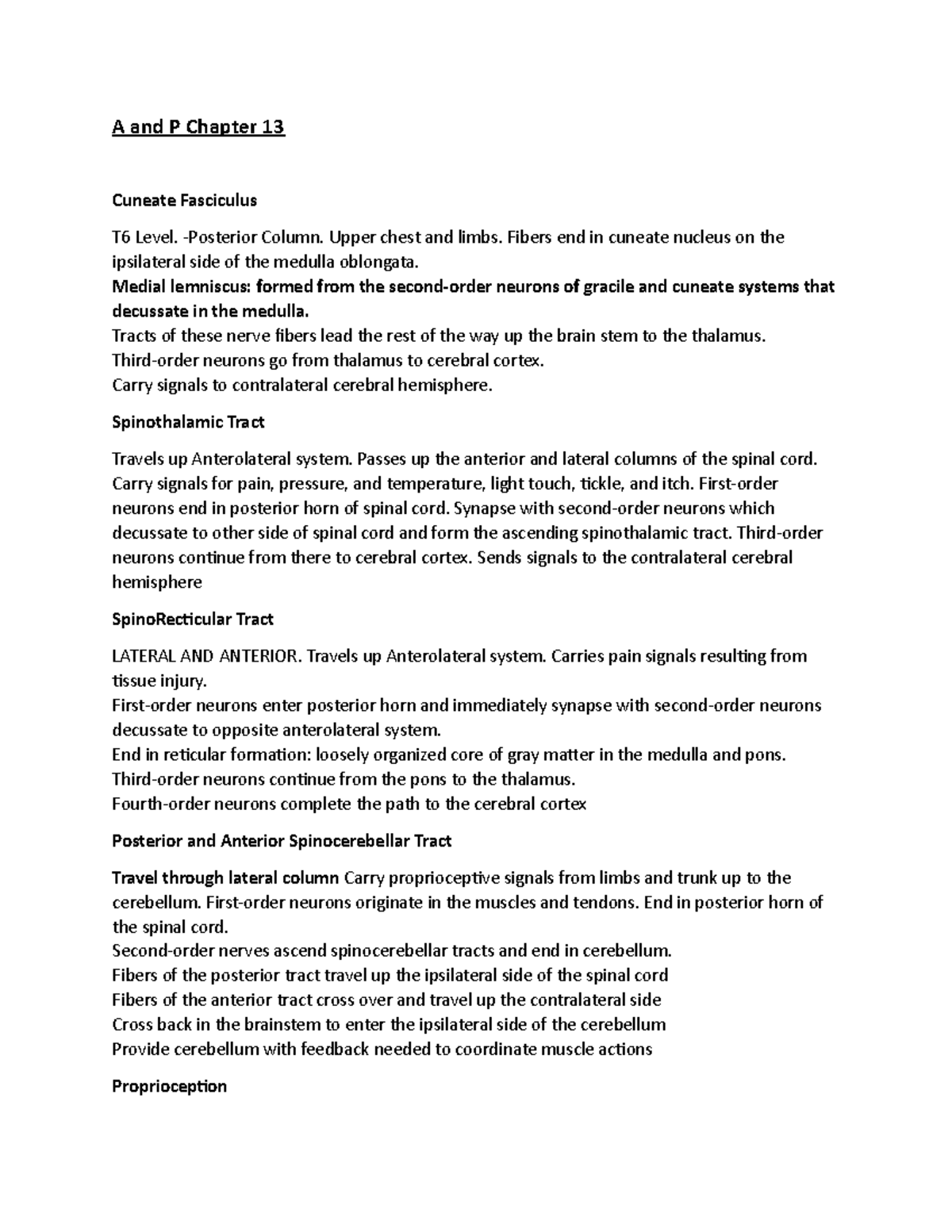 A and P Chapter 13 continued - A and P Chapter 13 Cuneate Fasciculus T6 ...