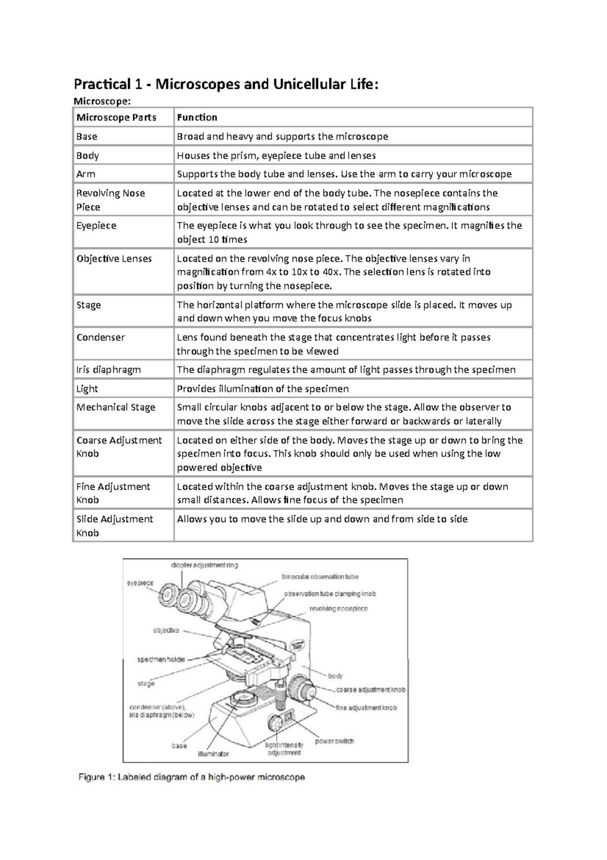 BS1007 PRAC TEST Notes 1 Practical 1 Microscopes and Unicellular