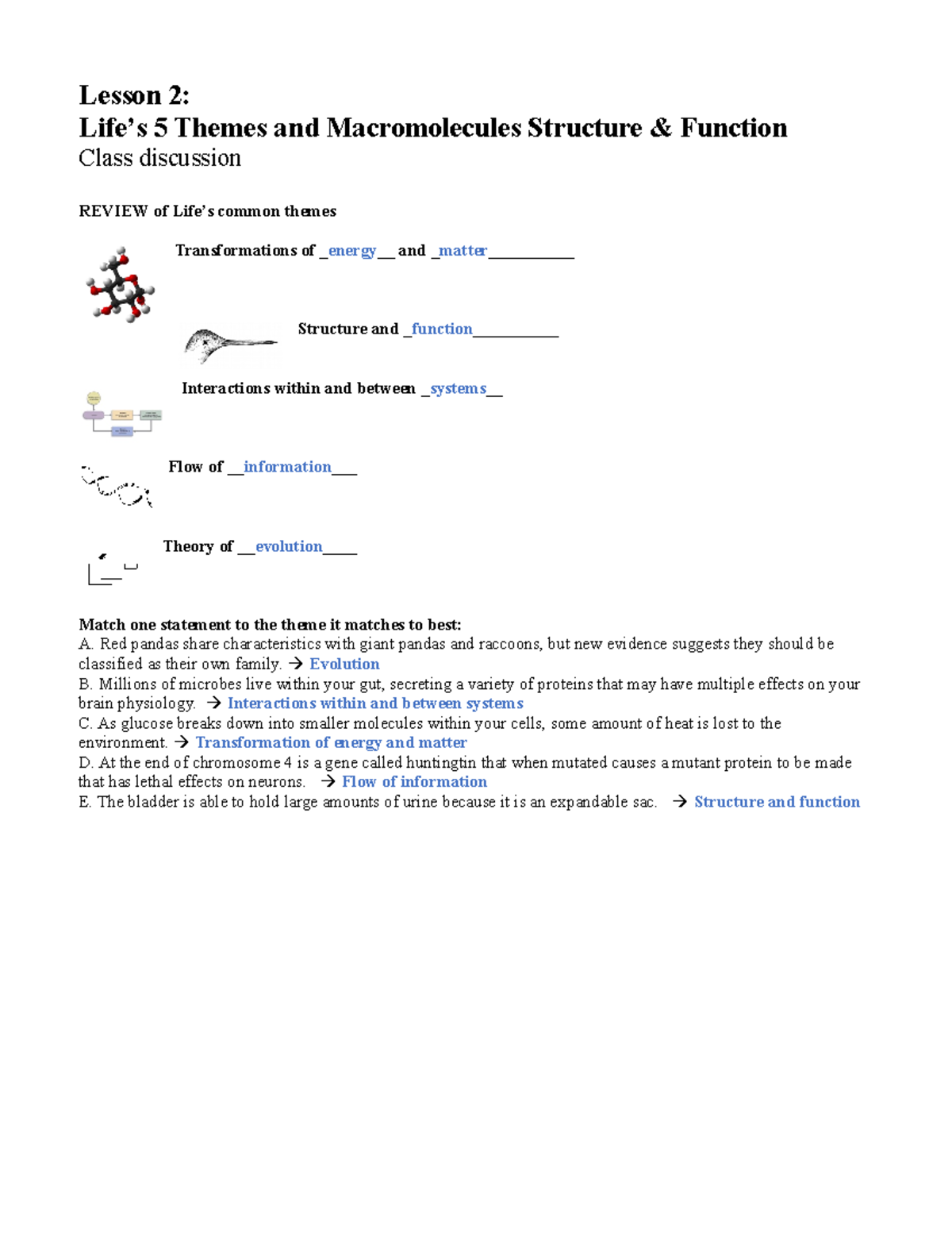Lesson 2 Class Outline Structure and Function of Macromolecules ...