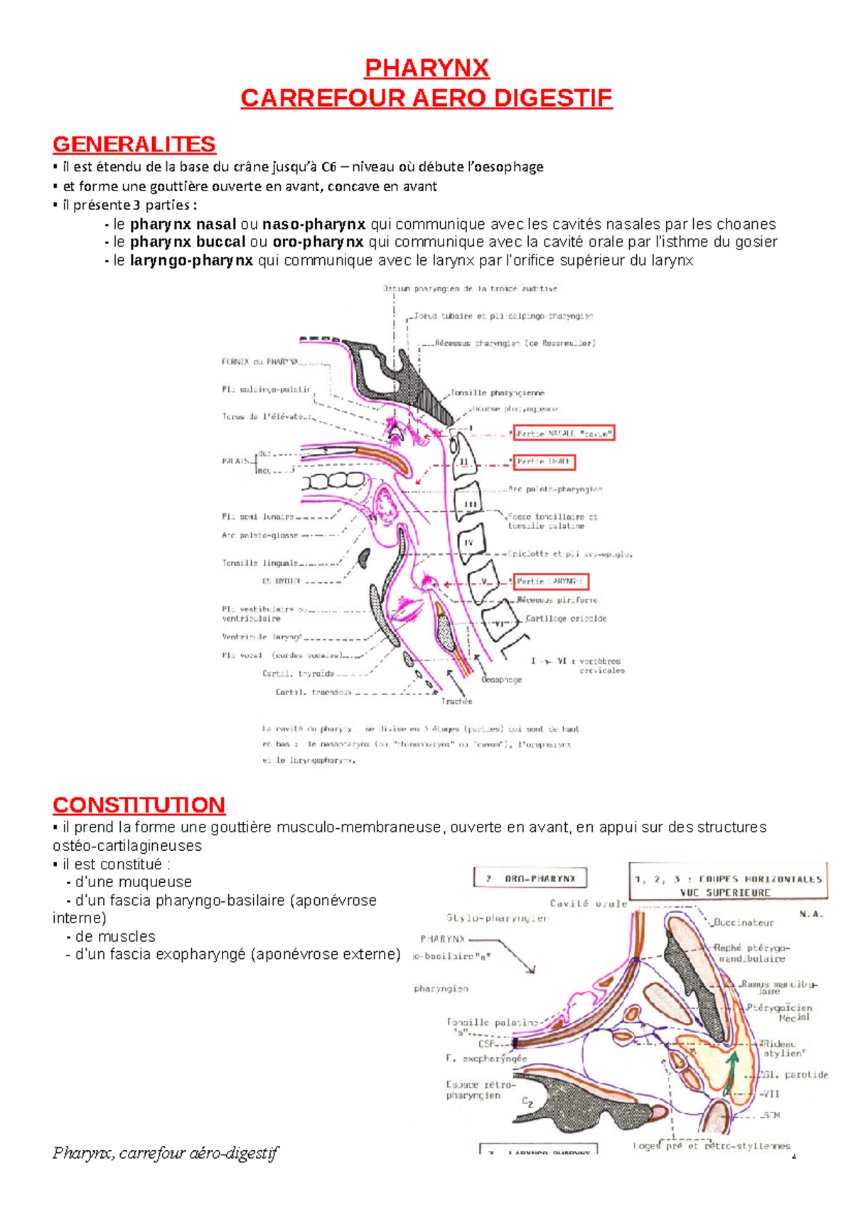 06 - Pharynx - Warning: Popup annotation has a missing or invalid ...