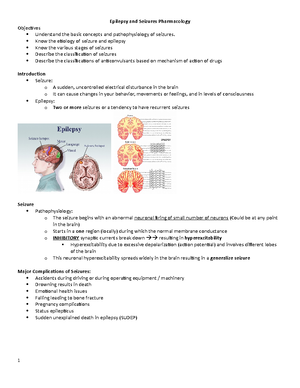 1-15 Structure And Function Of The Neurologic System - Structure And ...