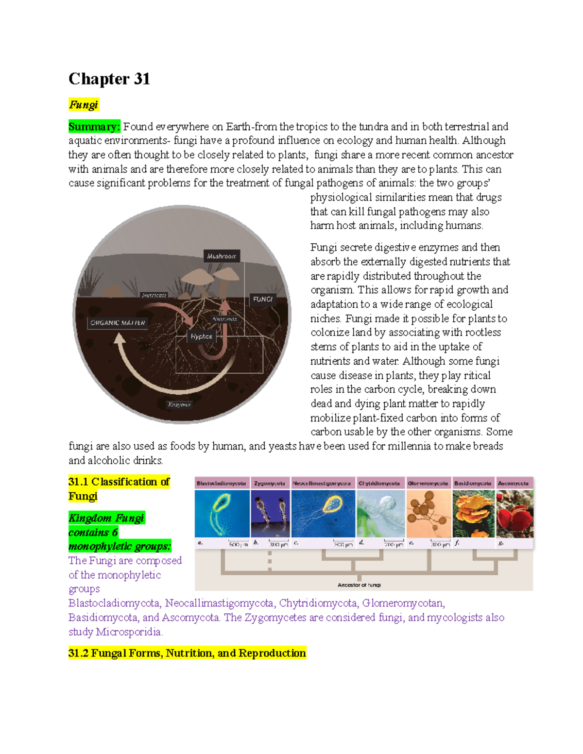 Bio Chapter 31 Notes - Biology - Chapter 31 Fungi Summary: Found ...