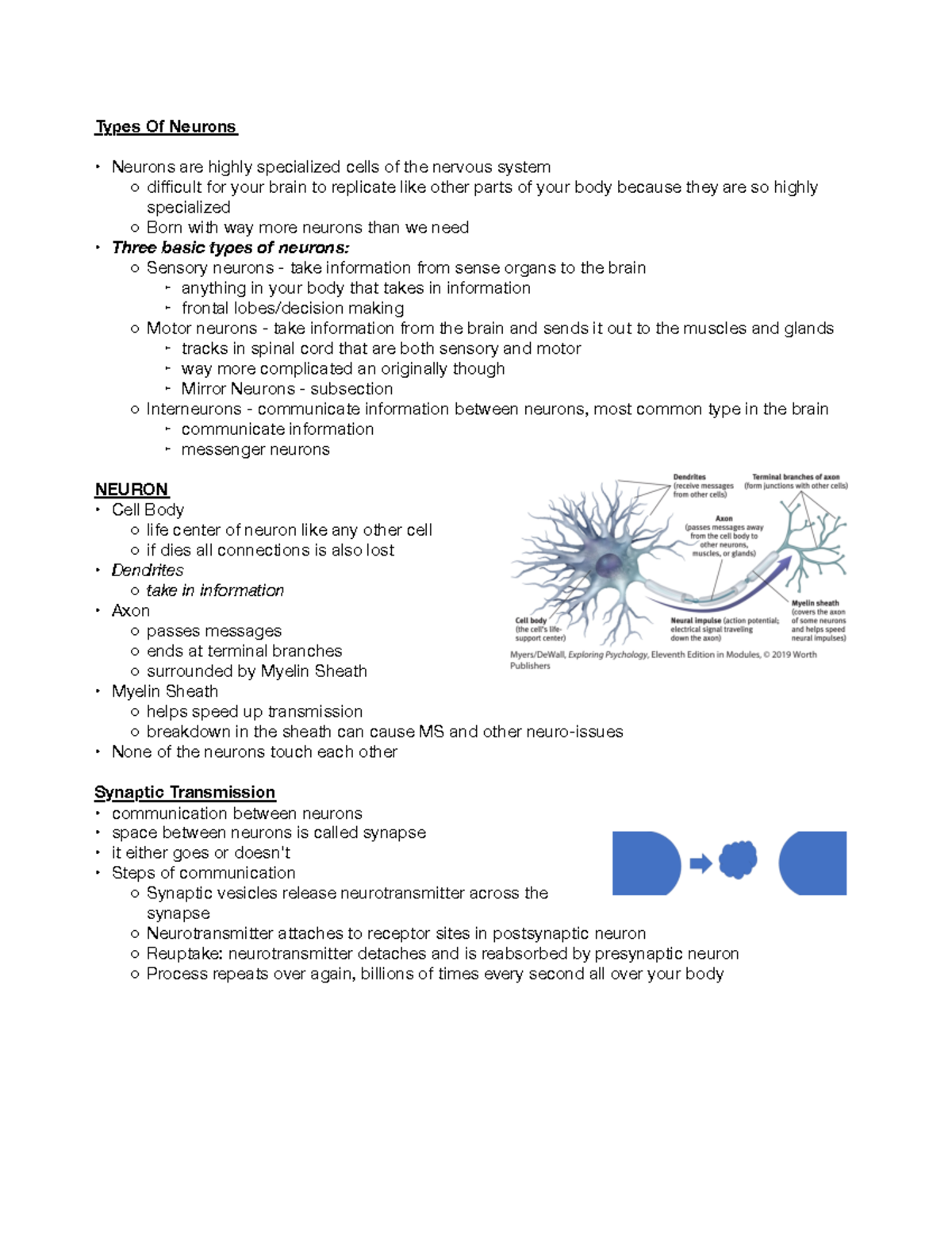 The Neural System - Dr. Julie Bishop - Types Of Neurons Neurons are ...