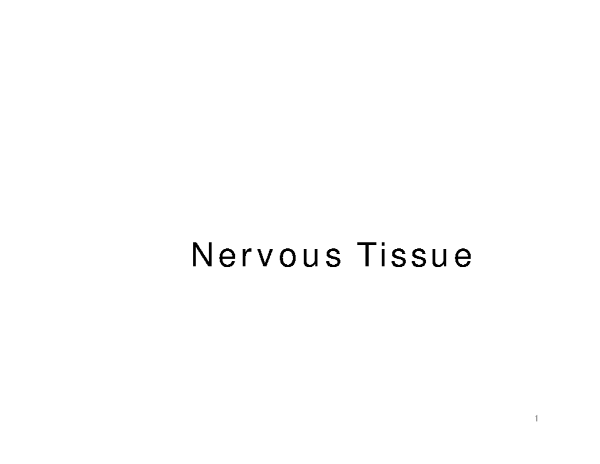 Nervous Tissue class - Fundamentalsof the Nervous System and Nervous ...