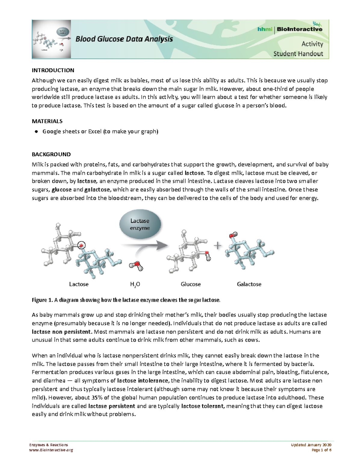 Kami Export Drew Hazeley Blood Glucose Data Analysis INTRODUCTION