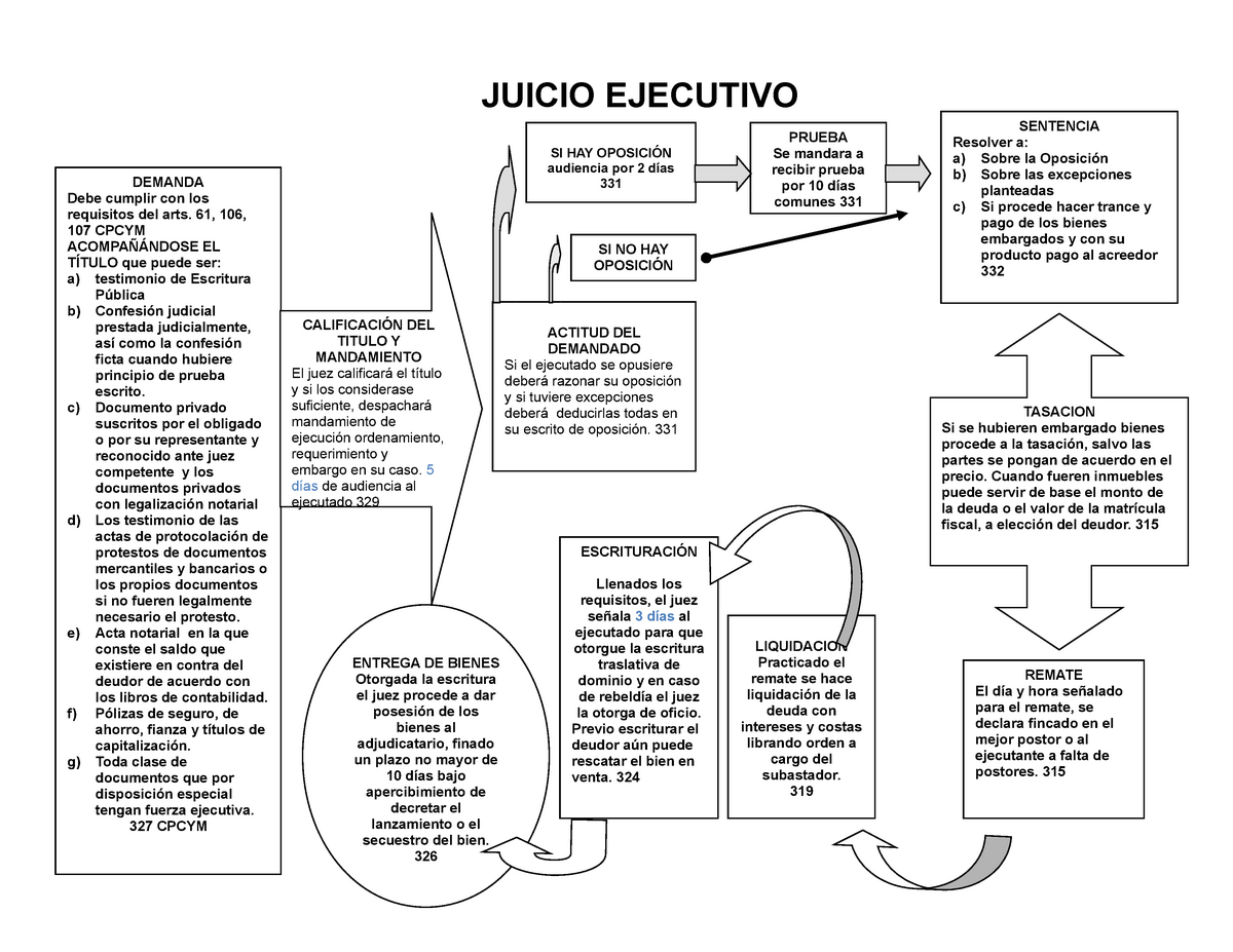 Esquema Juicio Ejecutivo Común Juicio Ejecutivo Demanda Debe Cumplir Con Los Requisitos Del 2645