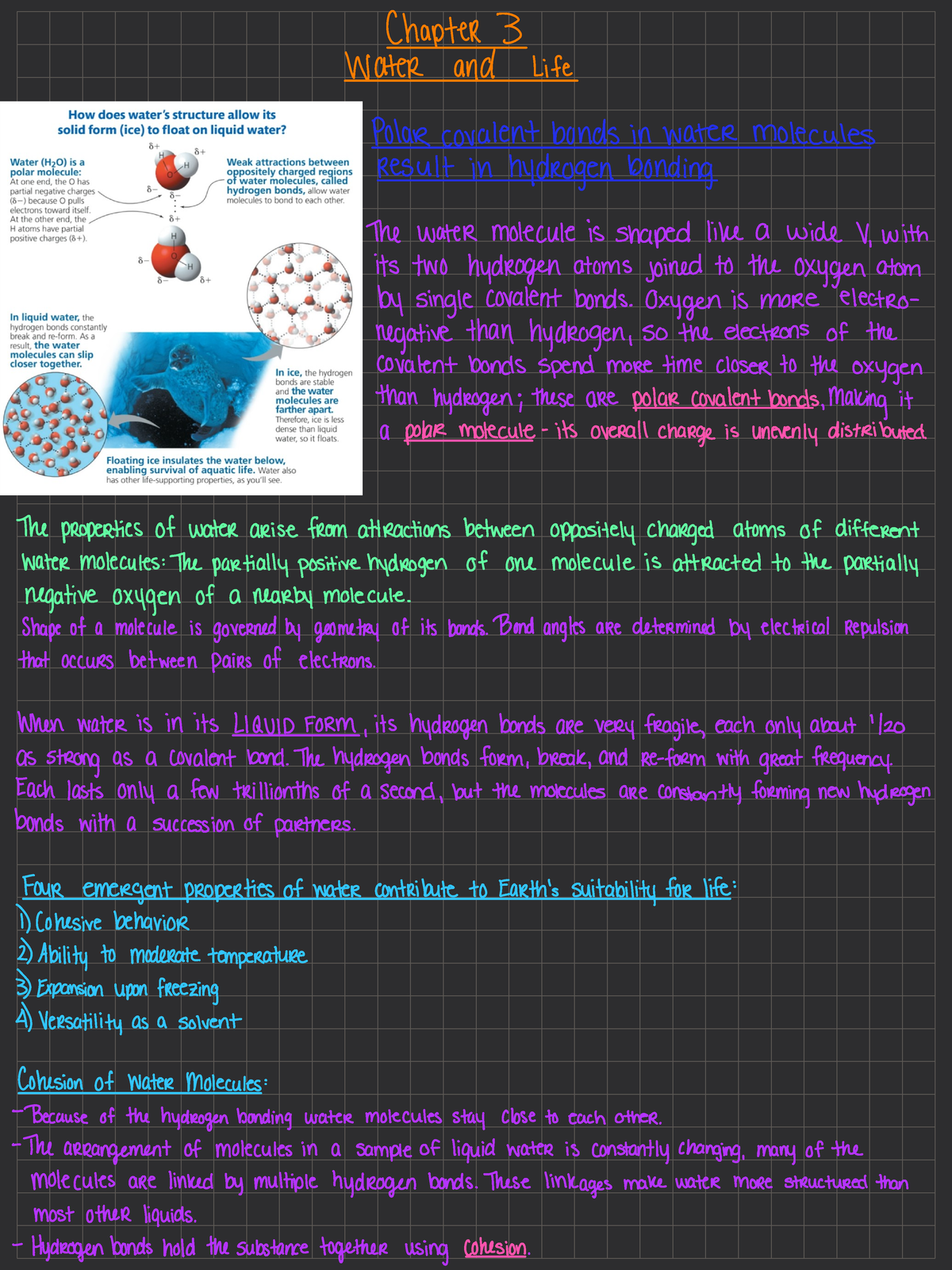 Chapter 3 - Water And Life - BIOL 100 - Studocu