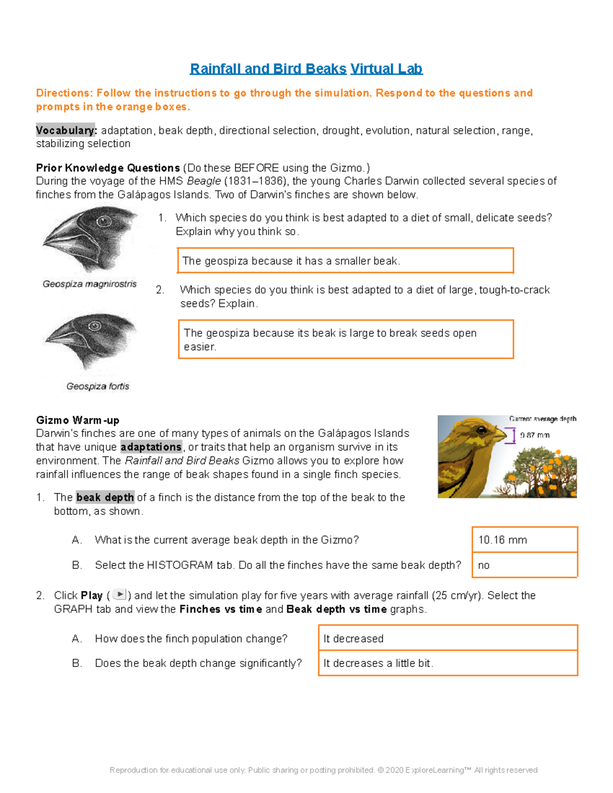 copy-of-rainfall-bird-metric-virtual-lab-rainfall-and-bird-beaks-virtual-lab-directions