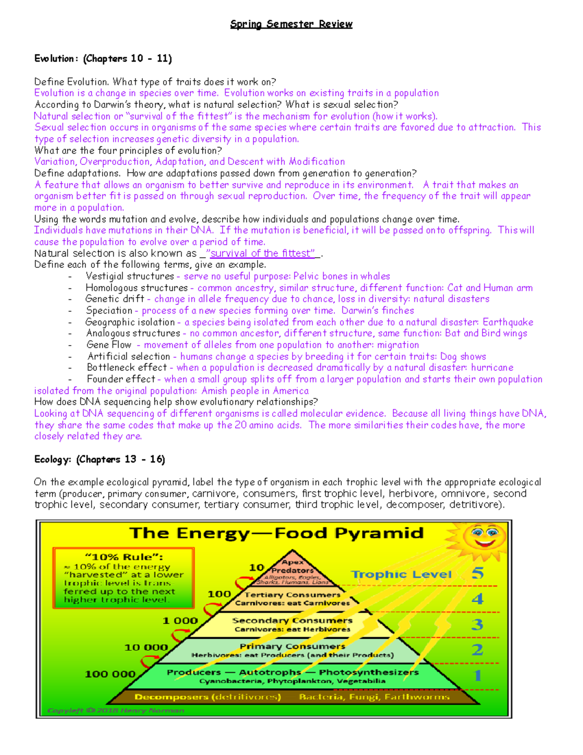 Semester overview review - Spring Semester Review Evolution: (Chapters ...