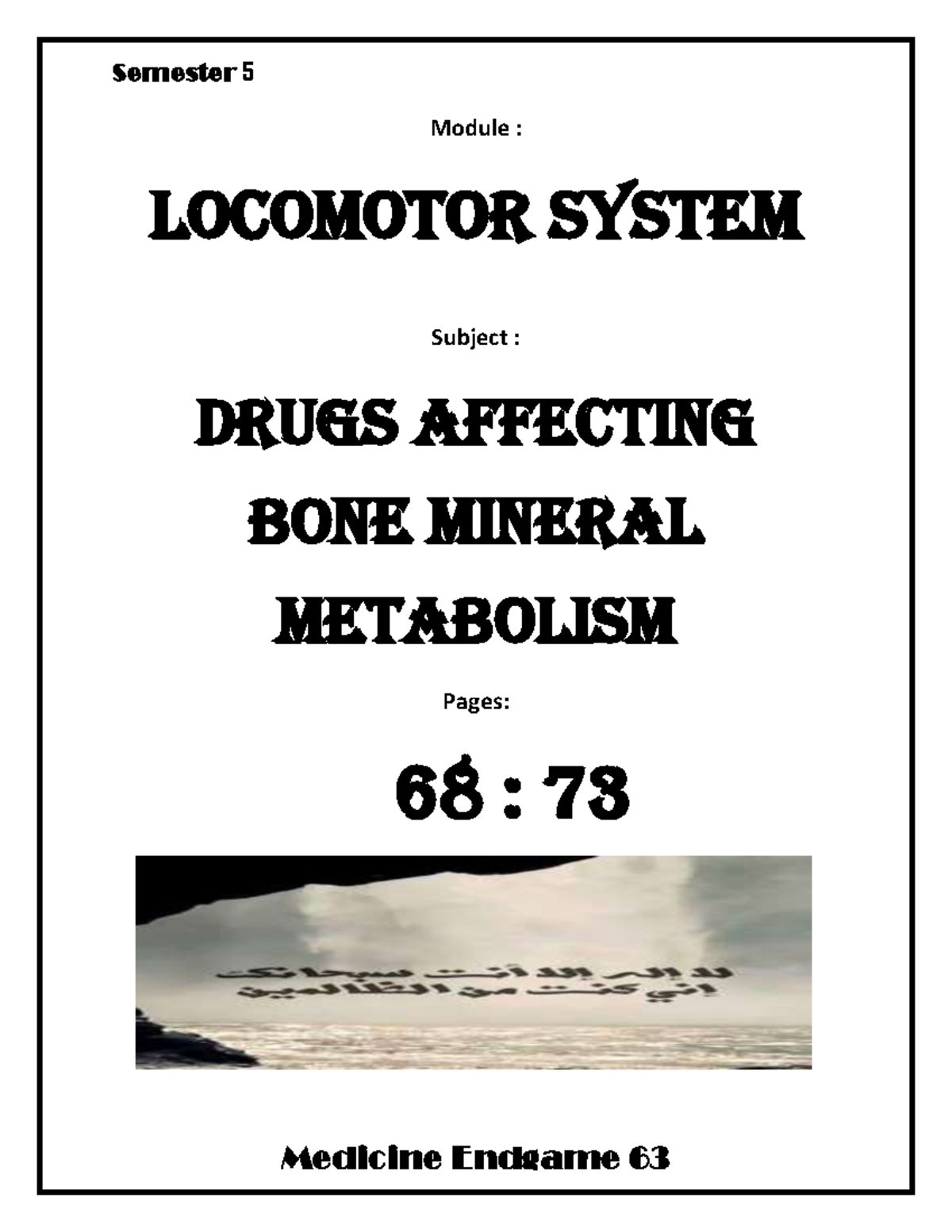 Drugs affecting bone mineral metabolism - Module : Locomotor system ...