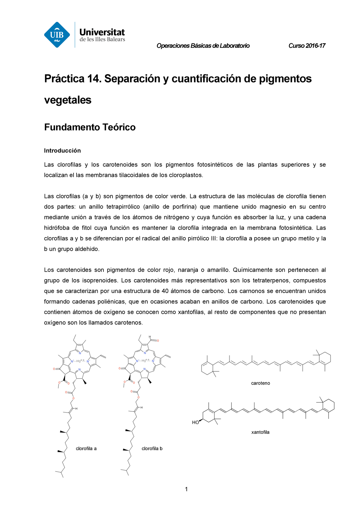 Práctica Fundamento Teórico fotosíntesis Operaciones de Laboratorio Curso y de