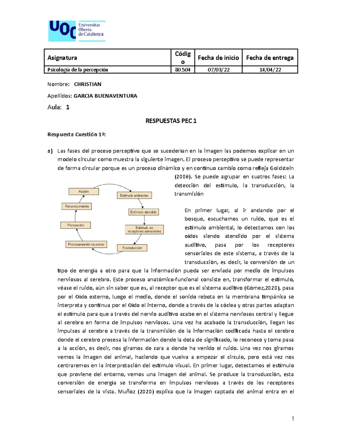 Respuestas PEC2 Christian GB - o Psicología de la percepción 80 07/03 ...