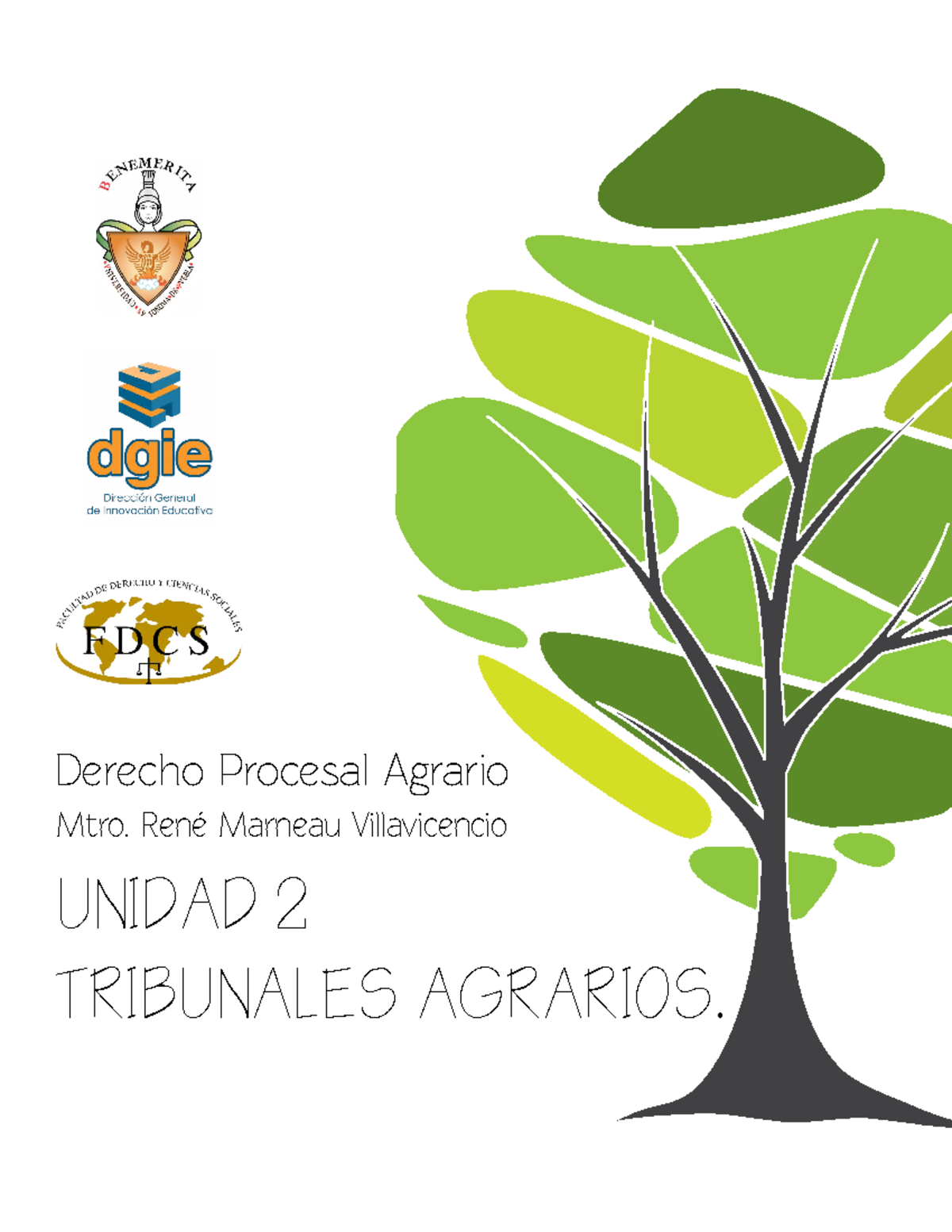 Tribunales Agrarios - UNIDAD 2 TRIBUNALES AGRARIOS. Mtro. René Marneau ...