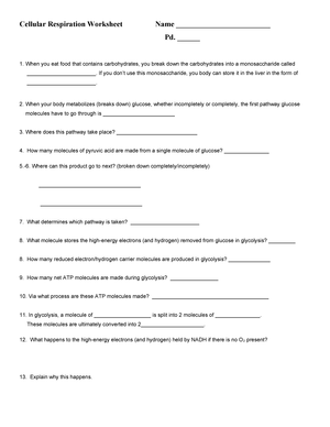 Cellular Respiration Worksheet Studocu