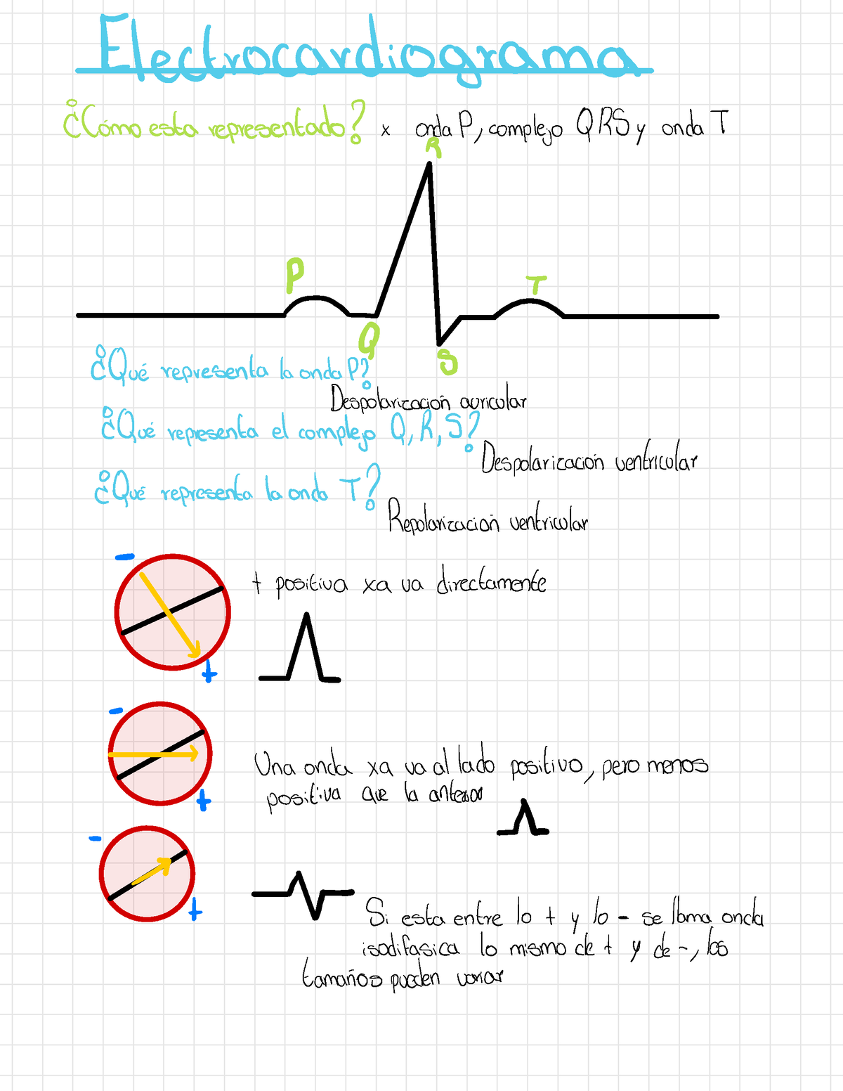 Electrocardiograma Electrocardiograma O CCómo esta representado onda P complejo QRS y onda