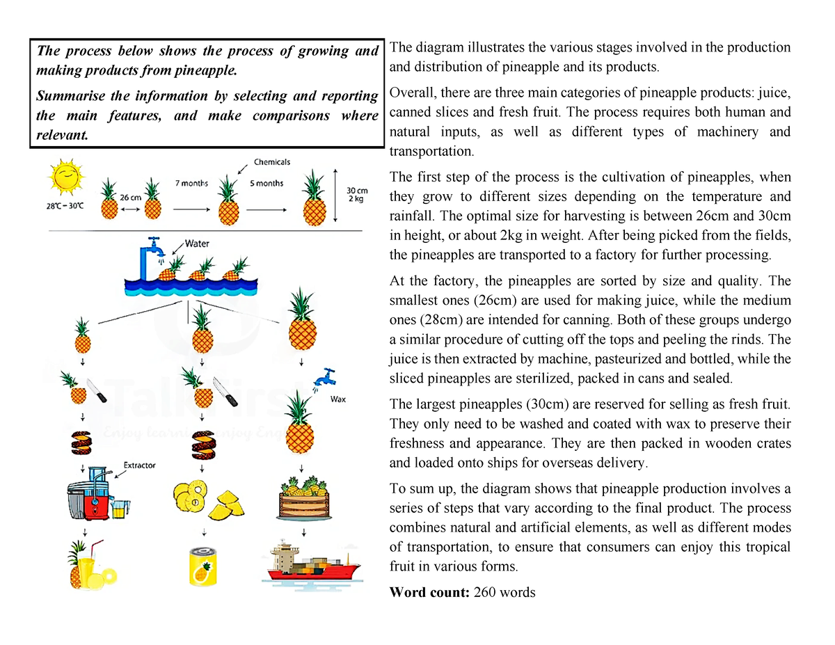 The process below shows the process of growing and making products from