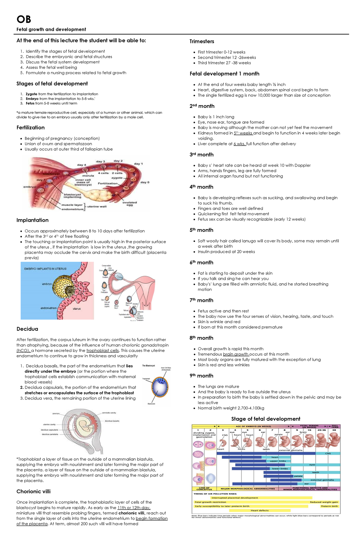 ob-fetal-growth-and-development-ob-fetal-growth-and-development-at