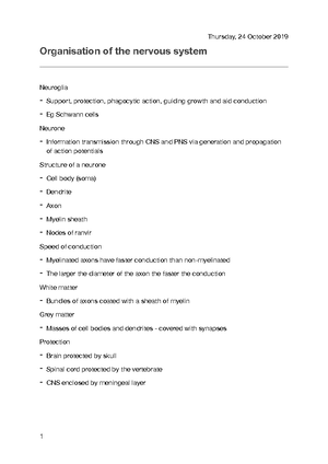 Structure and function of cerebellum - Structure and function of the ...