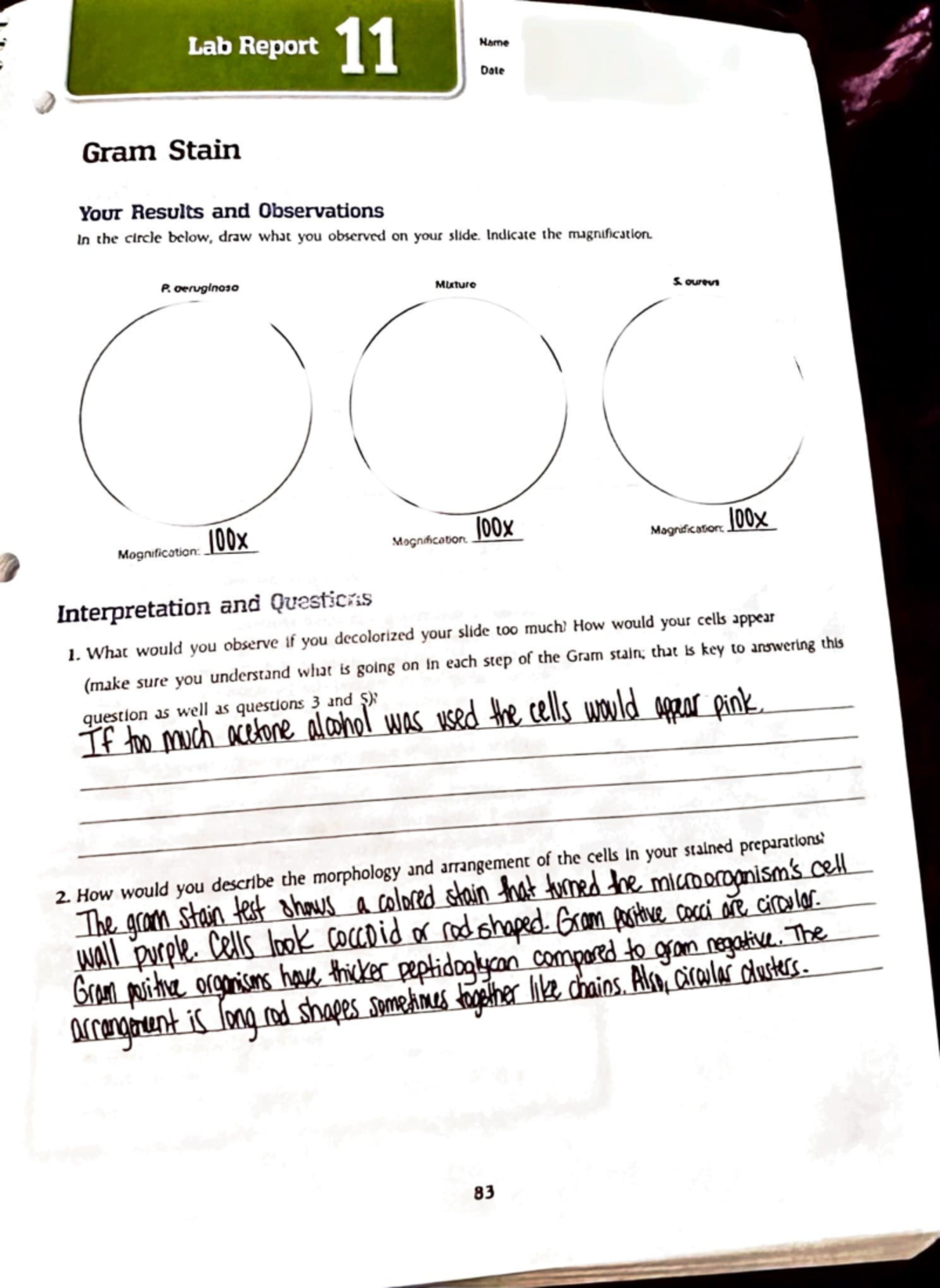 Microbiology Report - .J LabReport 1 iIIJ :: Gram Stain Your Results ...