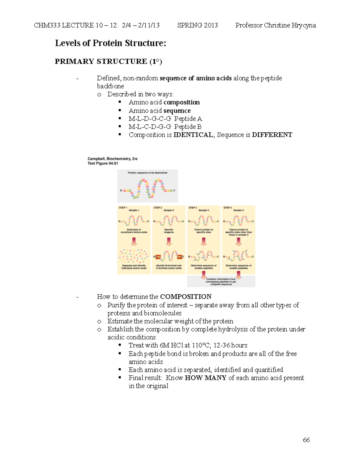 Spring 2012 Lecture 10-12 - Levels of Protein Structure: PRIMARY ...
