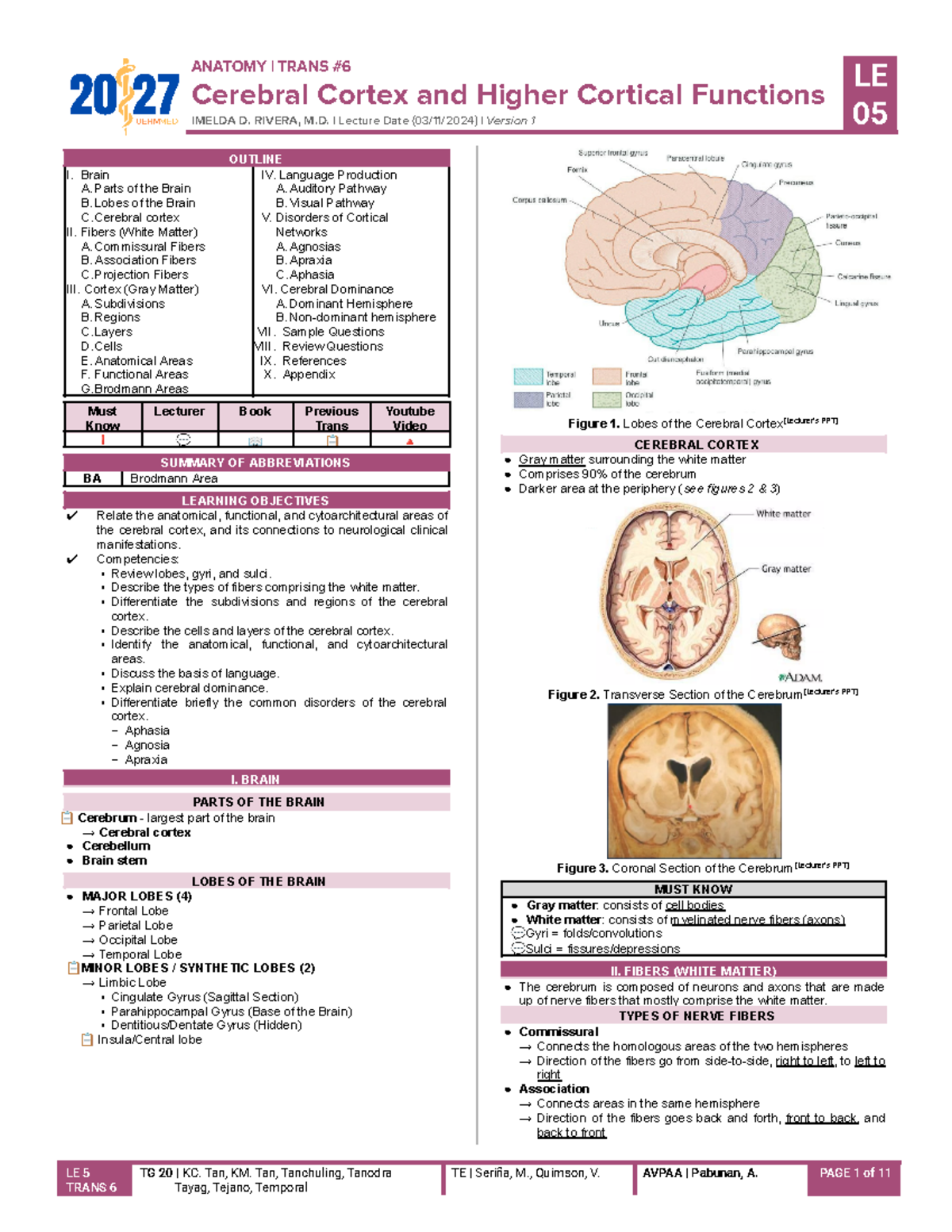 [ANA LEC - LE 5] 06 - Cerebral Cortex and Higher Cortical Functions (V1 ...