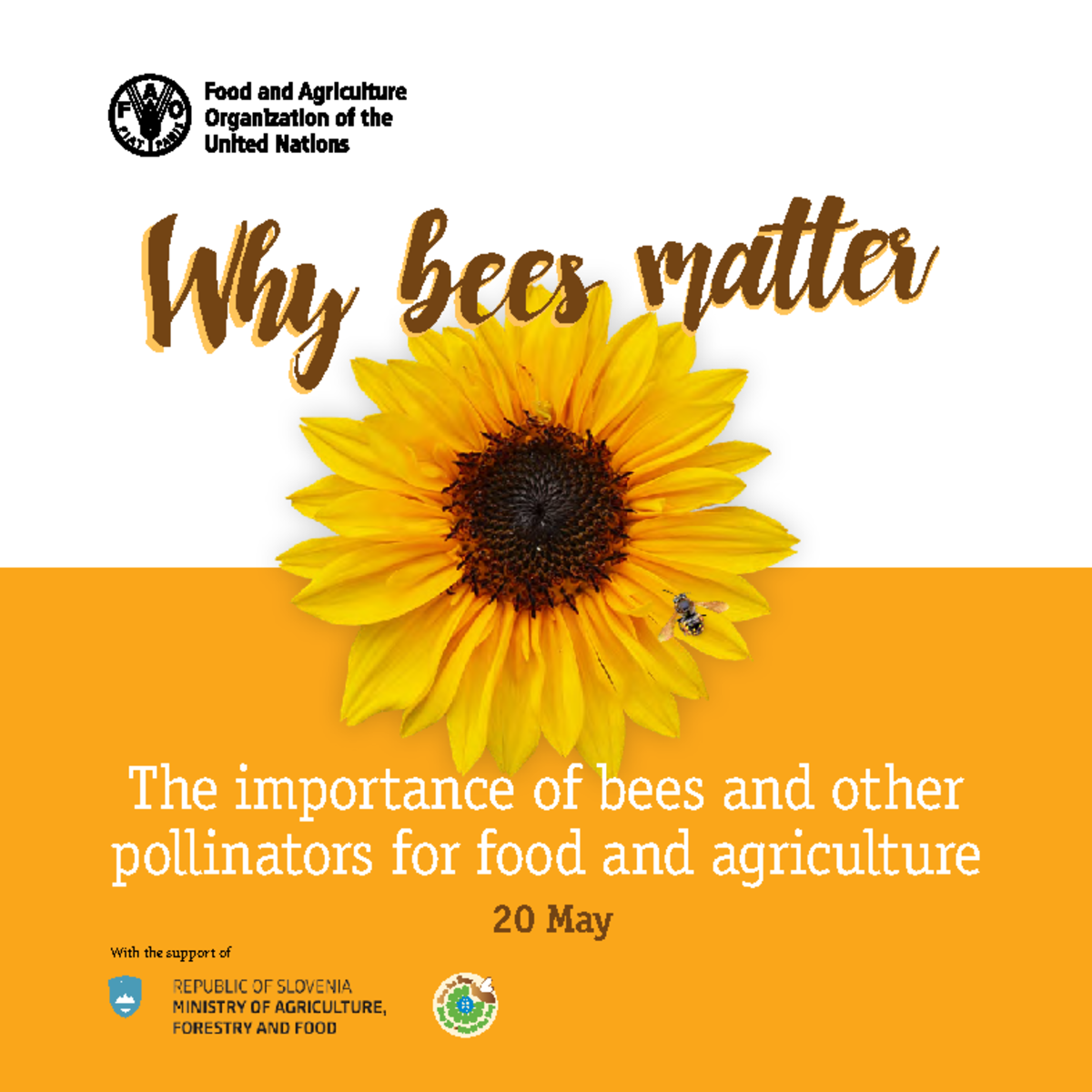 I9527en - Why Bees Matter - Why Bees MatterWhy Bees Matter The ...