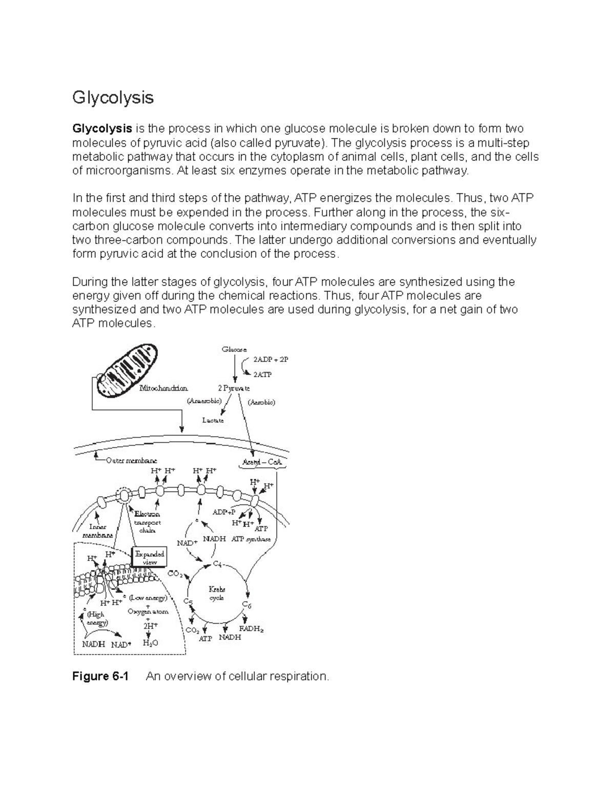 Glycolysis - Notes - Glycolysis Glycolysis Is The Process In Which One ...