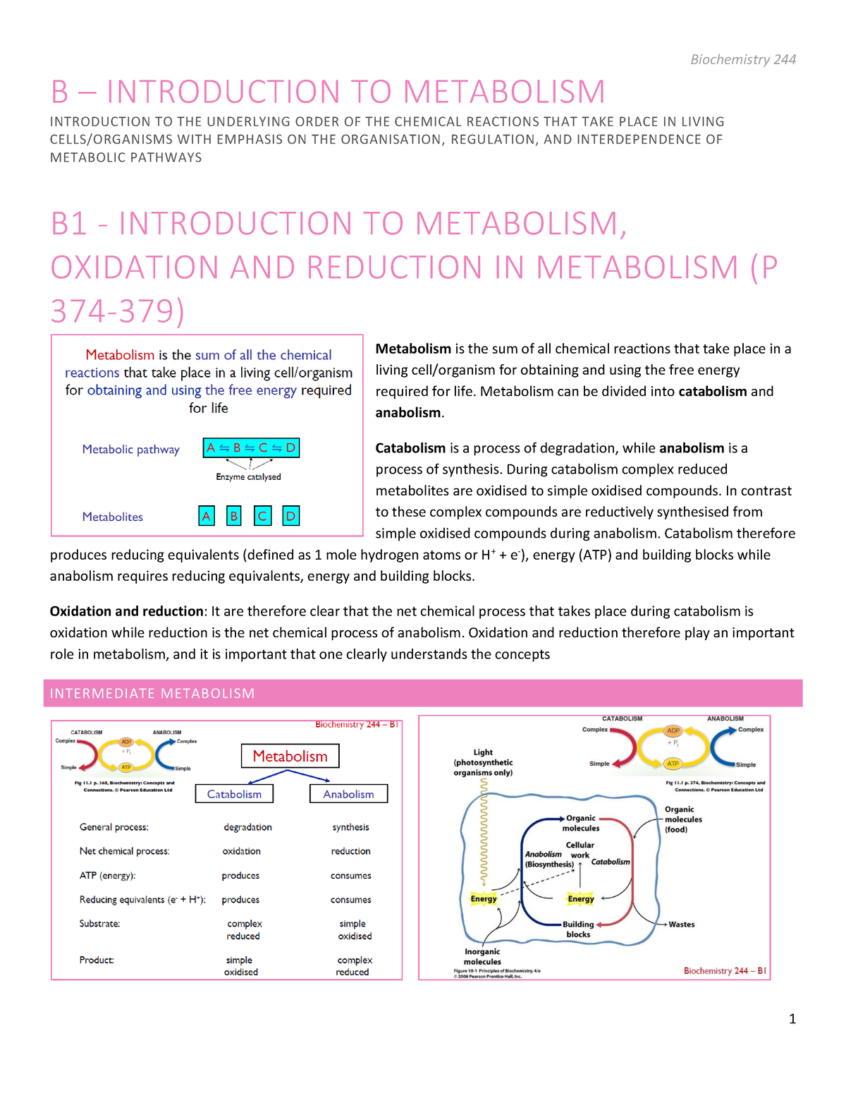 Biochemistry 244 B - B – INTRODUCTION TO METABOLISM INTRODUCTION TO THE ...