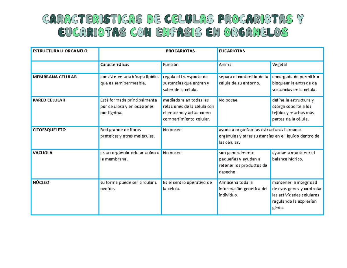 Cuadro Comparativo Células procariotas y eucariotas - ESTRUCTURA U