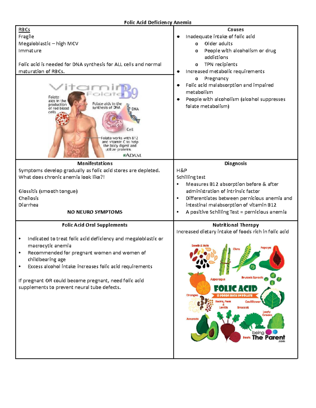 NRSG110 Teacher created notes over Folic Acid Deficiency Anemia
