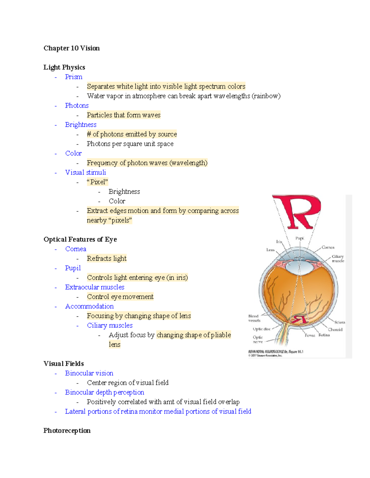 Chapter 10 Vision - Summary Behavioral Neuroscience - Chapter 10 Vision ...