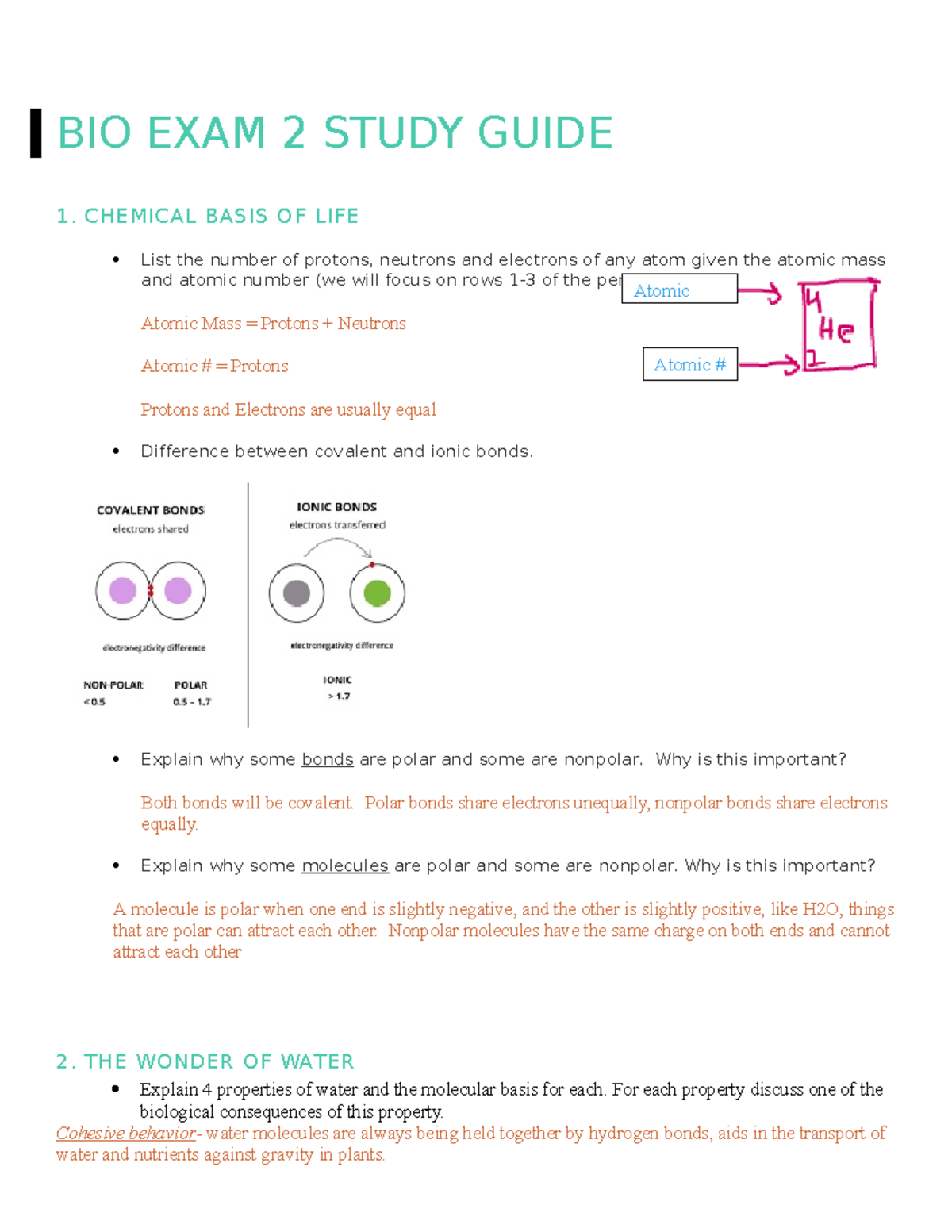Exam 2 Study Guide - BIO EXAM 2 STUDY GUIDE 1. CHEMICAL BASIS OF LIFE ...