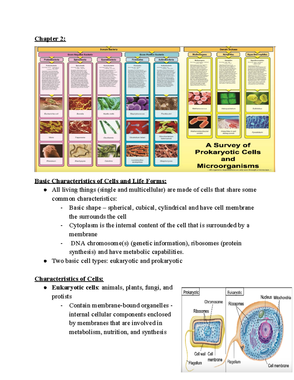 Microbiology Ch.2 Notes - Chapter 2: Basic Characteristics of Cells and ...