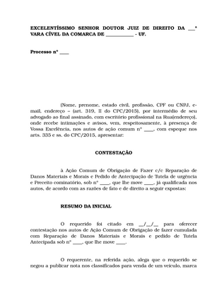 AÇÃO Civil Pública 1 - Modelo Prático De Peça Processual Nos Moldes Da ...