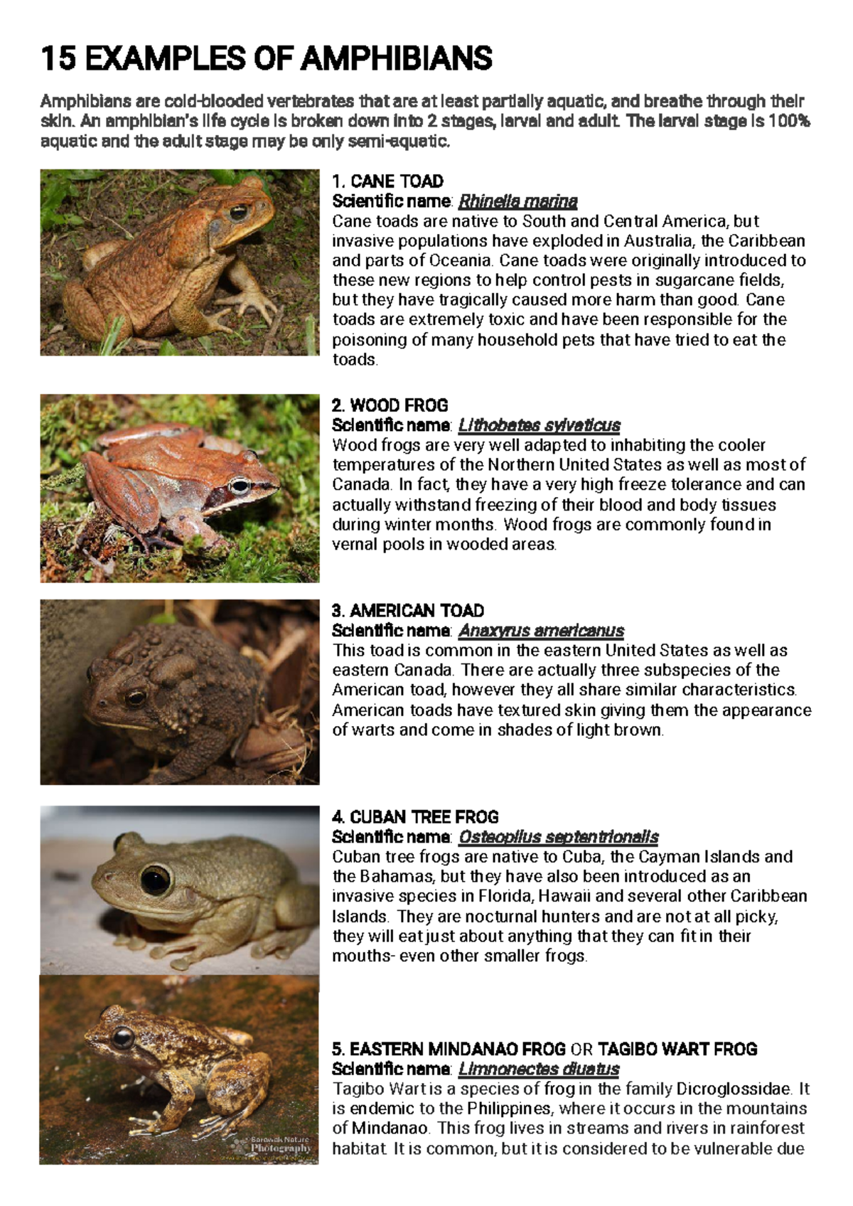 25 Examples OF Amphibians - 1 5EXAMPLESOFAMPHIBIANS - Studocu