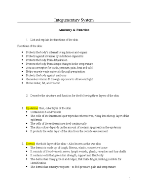 Anatomy and Physiology Peripheral Nervous System week 6 - Peripheral ...