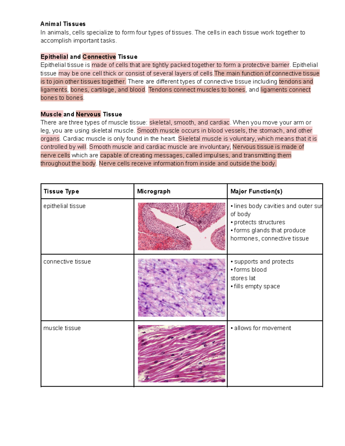 Tissues - shows diagrams of what tissue what it looks like and what it ...