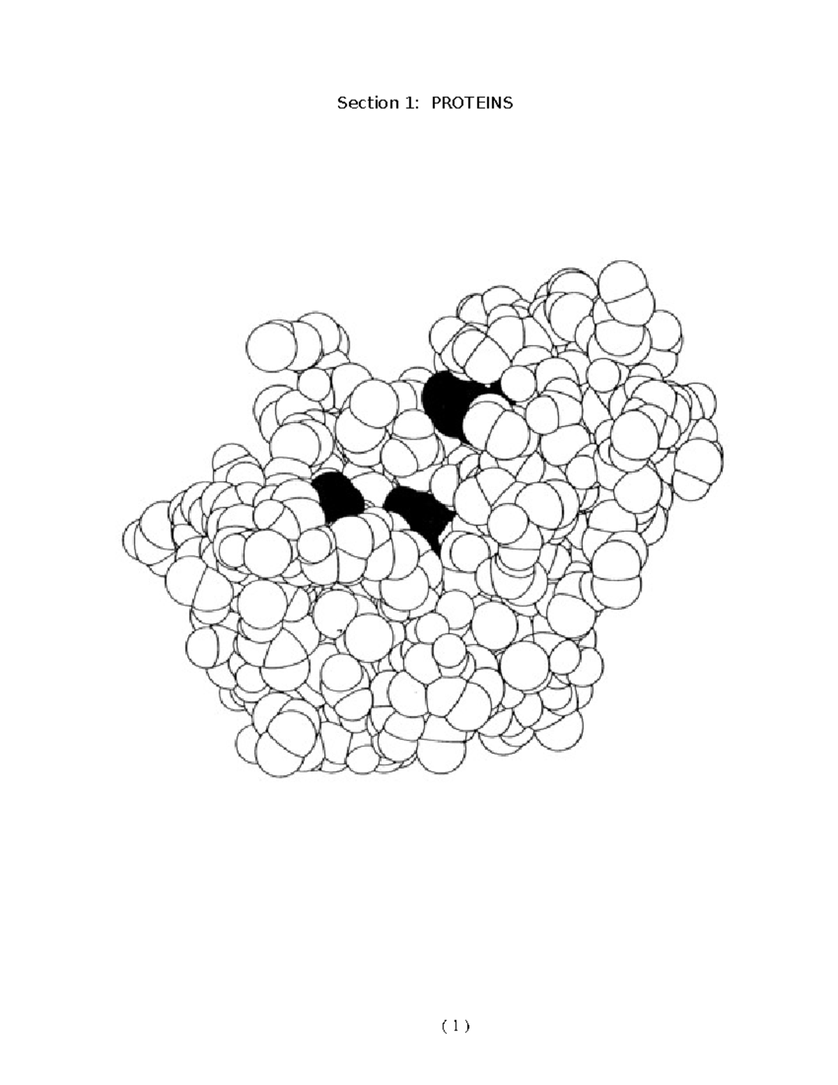 Proteins (b To B) - Biochemistry - Section 1: PROTEINS Introduction To ...