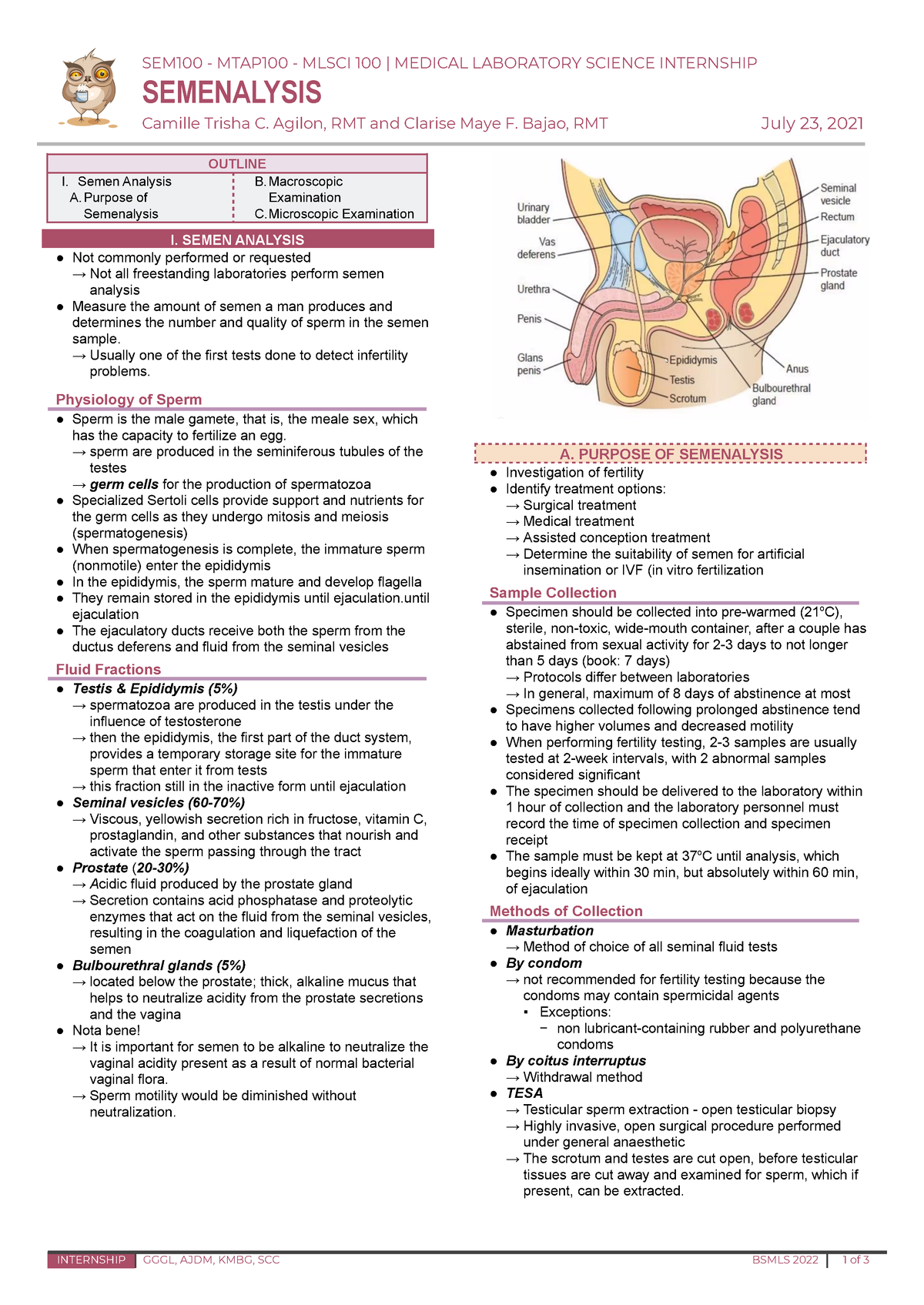 Semenalysis Lecture Notes Reviewer - SEM100 - MTAP100 - MLSCI 100 ...