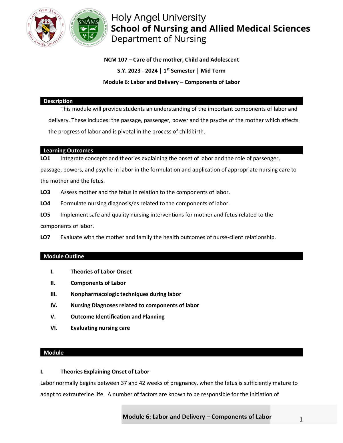 module-6-labor-and-delivery-components-of-labor-2023-ncm-107-care