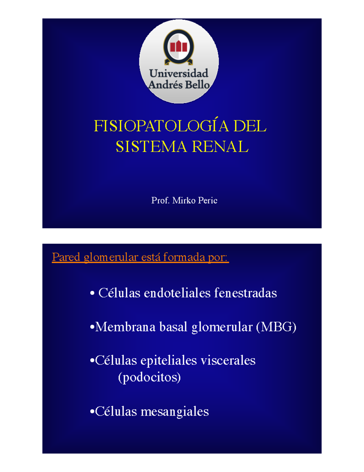 Patologias Renal - FISIOPATOLOGÍA DEL SISTEMA RENAL ####### Prof. Mirko ...