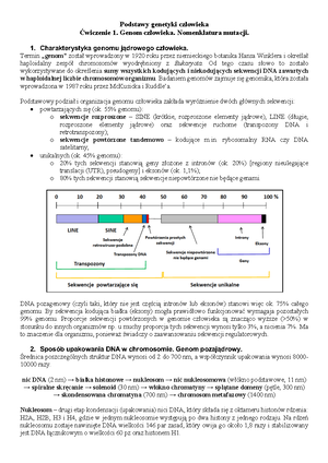 Podstawy Genetyki Człowieka - Notatki Z Wykładów 7-13 - Mutacje Mutacja ...