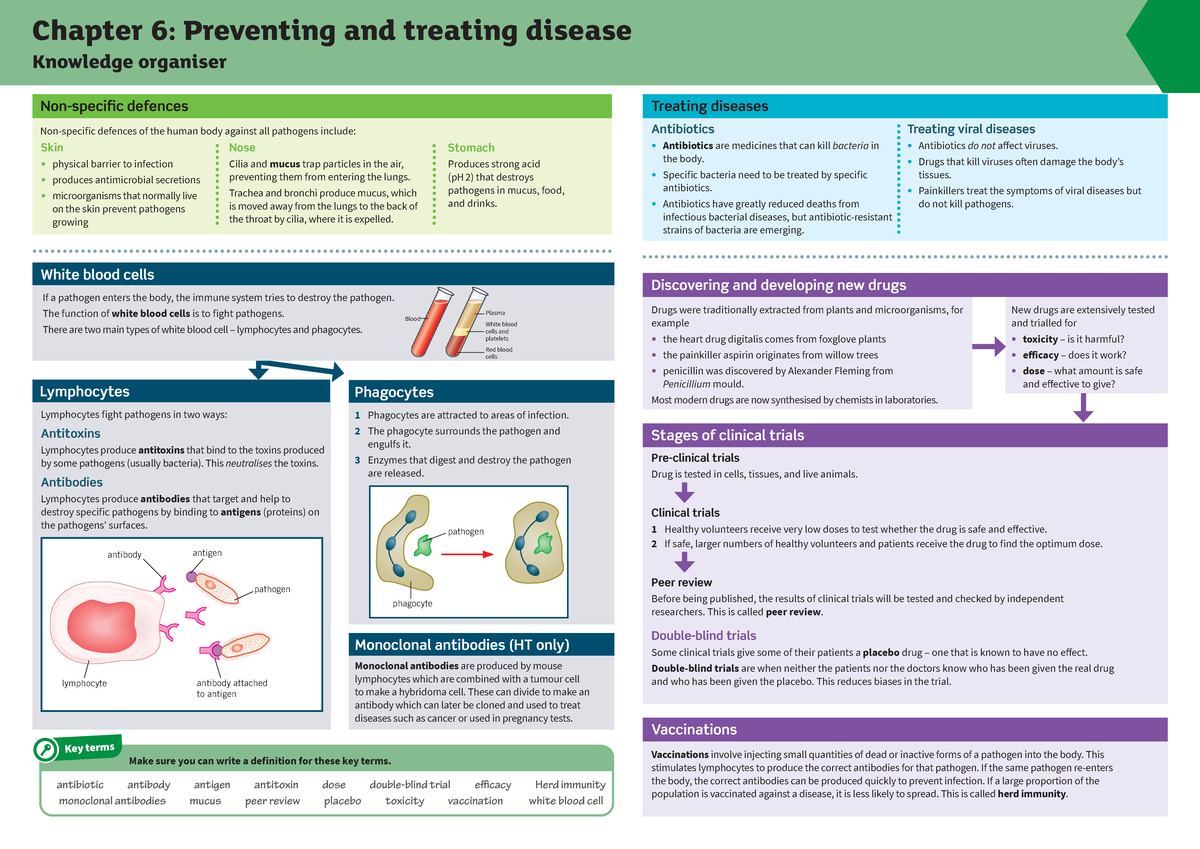 B6 Knowledge Organiser - Chapter 6: Preventing and treating disease ...