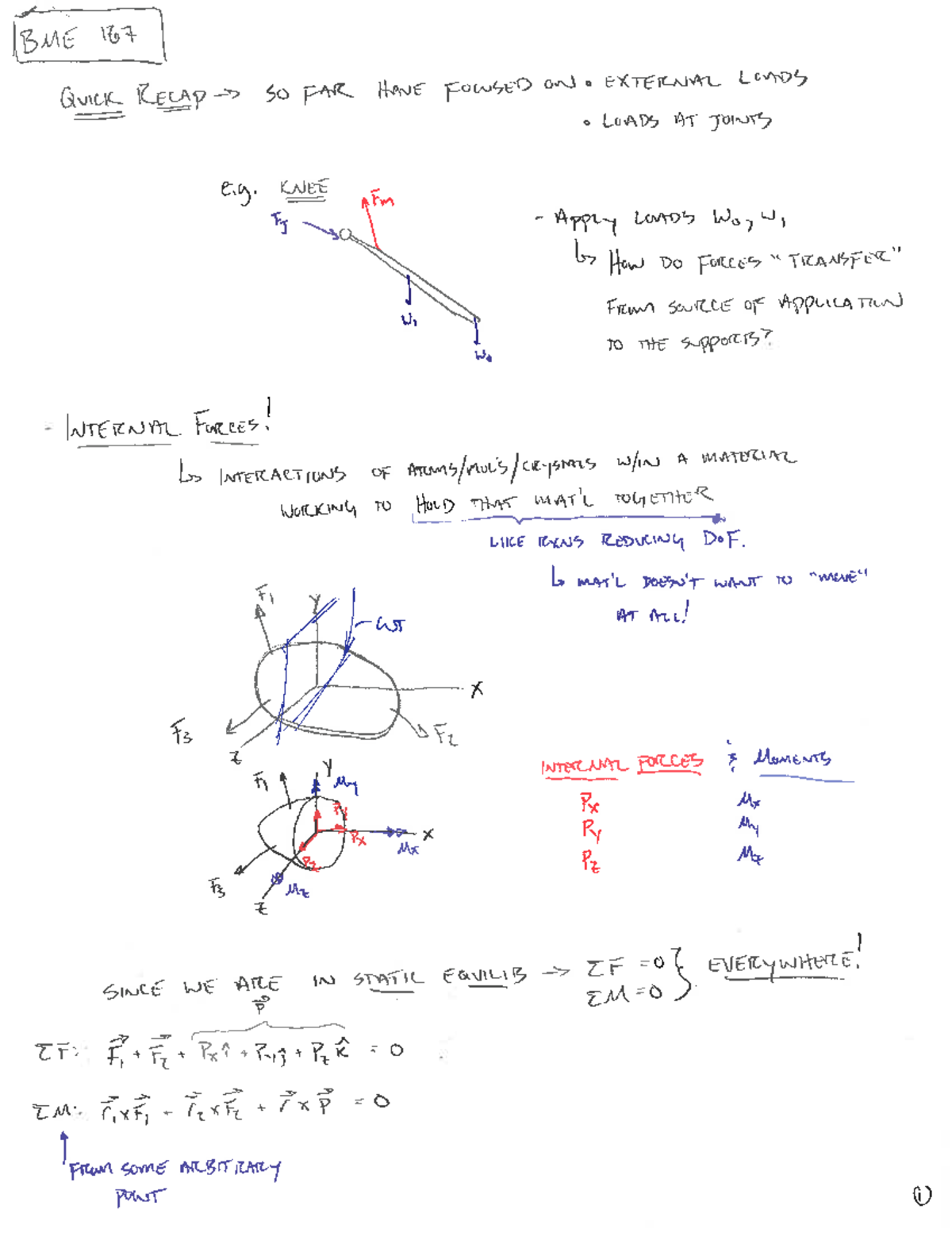Lecture 7 Notes - stress and strain - BME 167 - Studocu