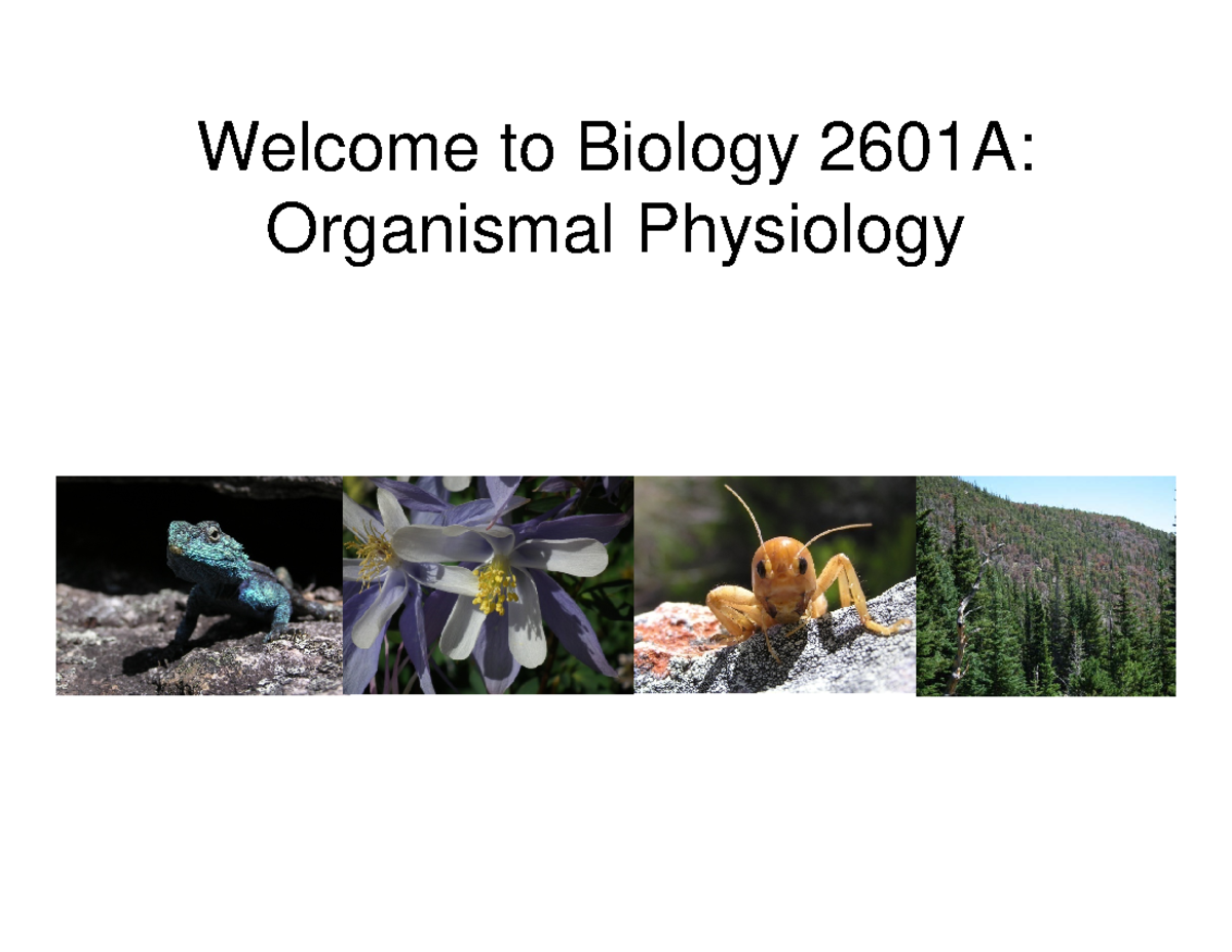 01-+Introduction+-1+slide - Welcome to Biology 2601A: Organismal ...