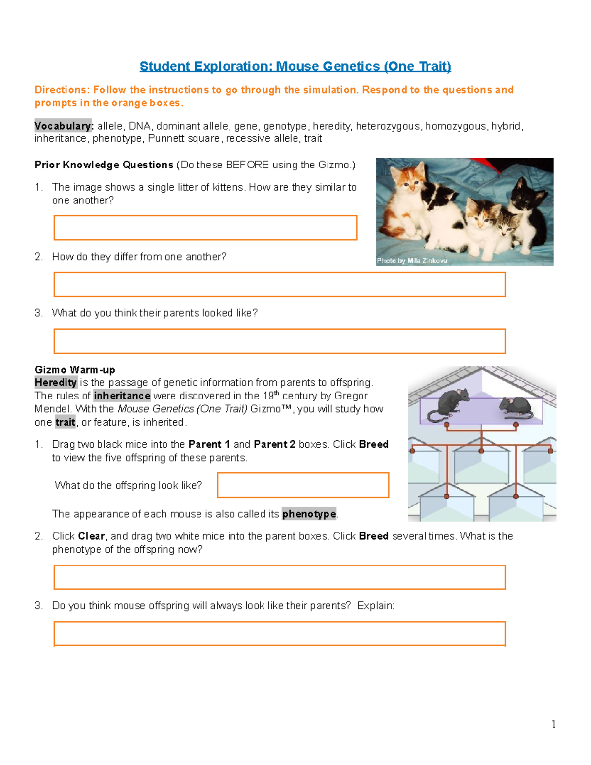 Mouse Genetics Lab - Student Exploration: Mouse Genetics (One Trait ...