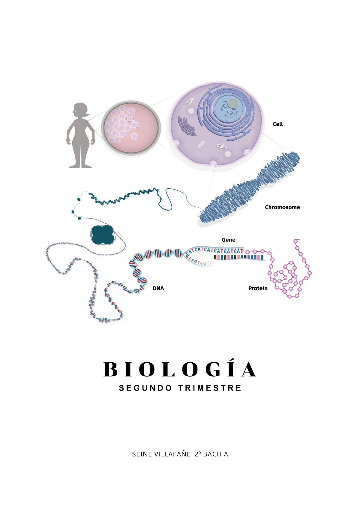 Biología Segundo Trimestre 2º Bachillerato - B I O L O G Í A ####### S ...