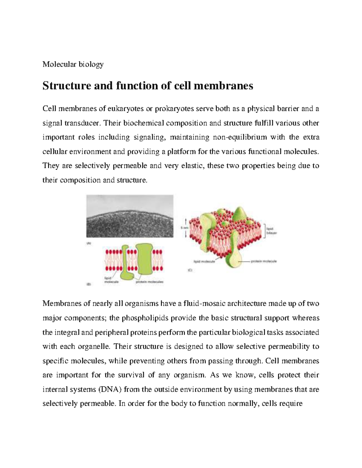 Structure and function of cell membranes Molecular biology Structure