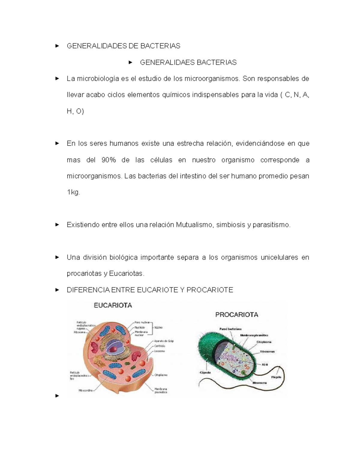 Estructura De Bacterias - GENERALIDADES DE BACTERIAS GENERALIDAES ...