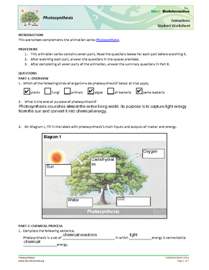 Photosynthesis-Student WS-animation - Photosynthesis Published March 2019 Animations  Student - Studocu